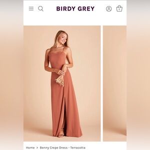 Birdy Grey Benny Crepe Dress in Terracotta